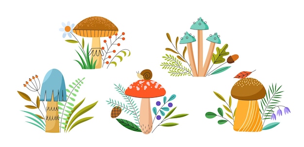 Vector cute mushrooms and plants compositions edible and poisonous fungi with flowers berries snail fly agaric boletus toadstool vector set