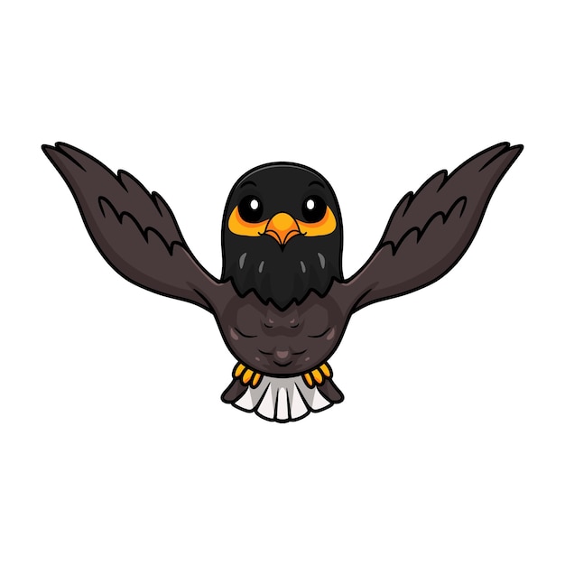 Vector cute myna bird cartoon flying