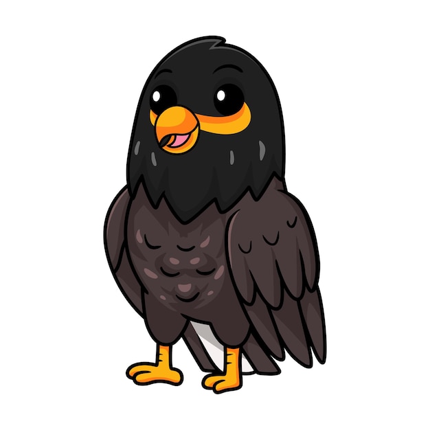 Vector cute myna bird cartoon posing