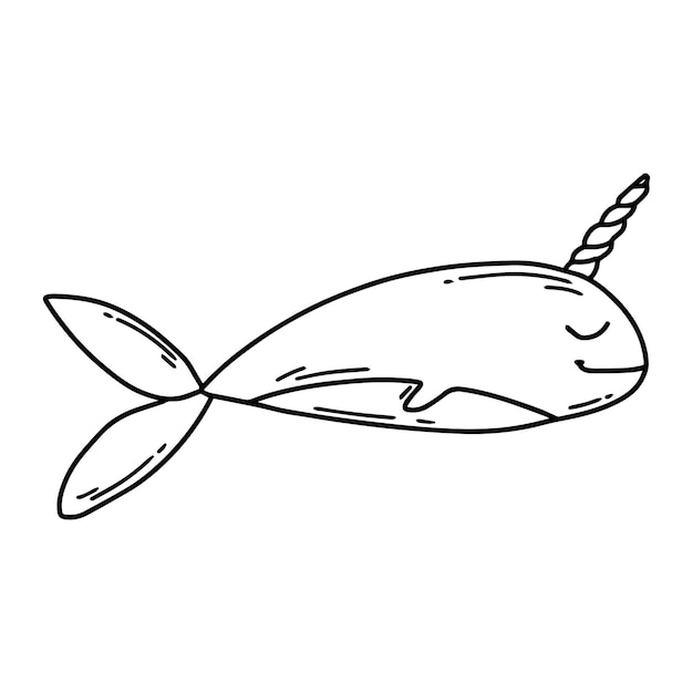 Simpatico narvalo in stile doodle balena con un corno illustrazione vettoriale baby whale