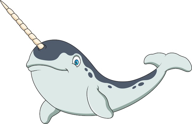 Vector cute narwhal mascot cartoon vector illustration