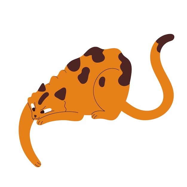 Funny playful cat icon, isometric style 15688510 Vector Art at