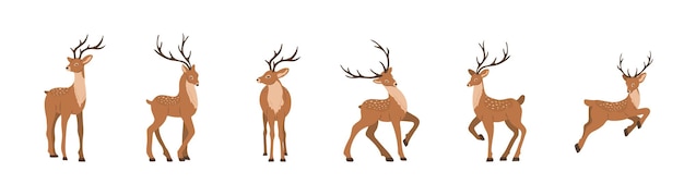 Cute noble sika deer. Set of reindeers with antlers in different poses.