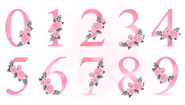 Cute numbering with roses illustration