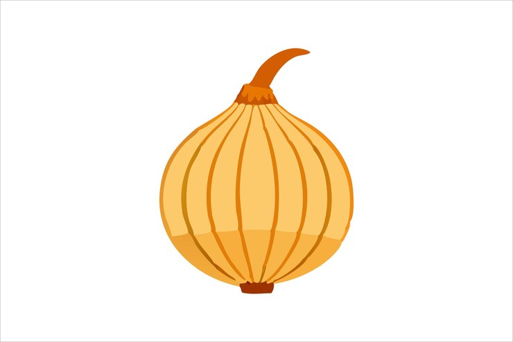 Vector cute onion vector art and illustration