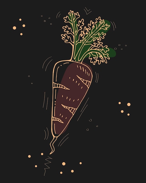 Вектор Милая оранжевая морковь. векторная иллюстрация.