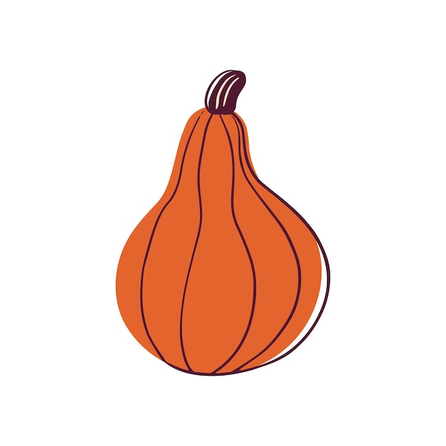 Zucca arancione carina. elegante illustrazione vettoriale della pianta autunnale. simbolo di caduta.