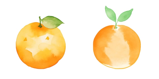 cute orange watercolor vector illustration