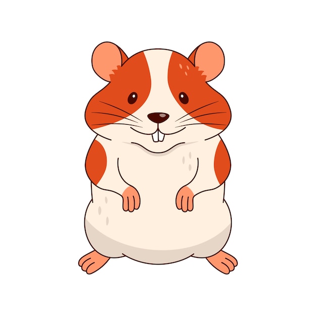 Vector cute orange and white hamster isolated on white background
