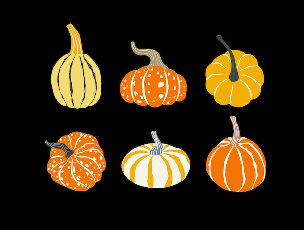 Vector cute orange and yellow decorative pumpkins of various shapes autumn thanksgiving halloween harvest element set cartoon hand drawn pumpkin illustration