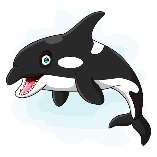 Vector a cute orca cartoon isolated on white background