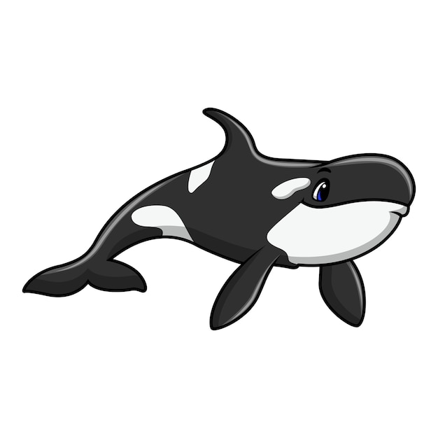 Vector cute orca cartoon a swimming