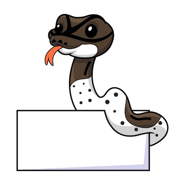 Vector cute oreo pied ball python cartoon with blank sign