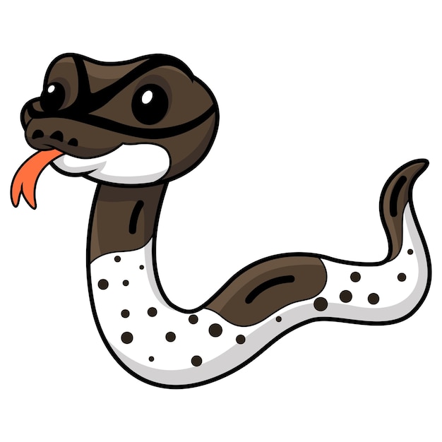 Cute oreo pied ball python cartoon