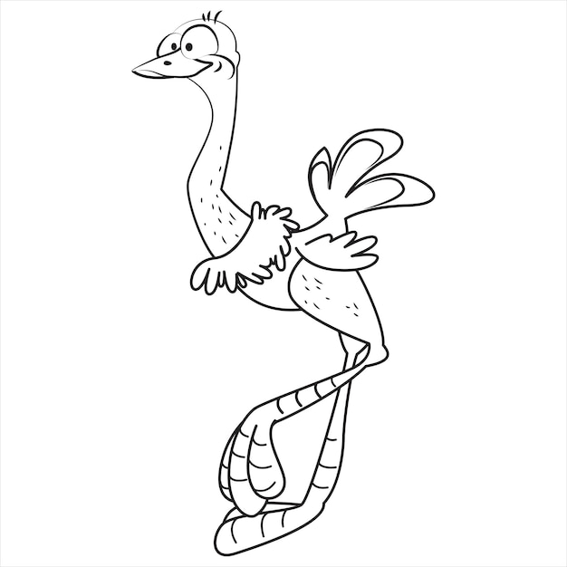 Vector cute ostrich black and white vector