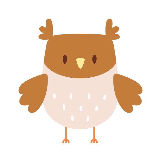 Cute owl bird