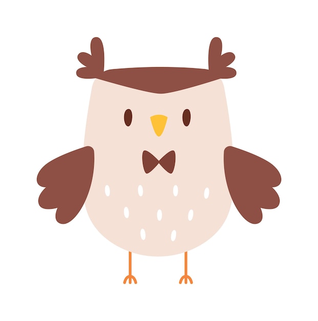 Cute owl bird