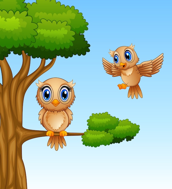 Cute owl cartoon on a tree branch