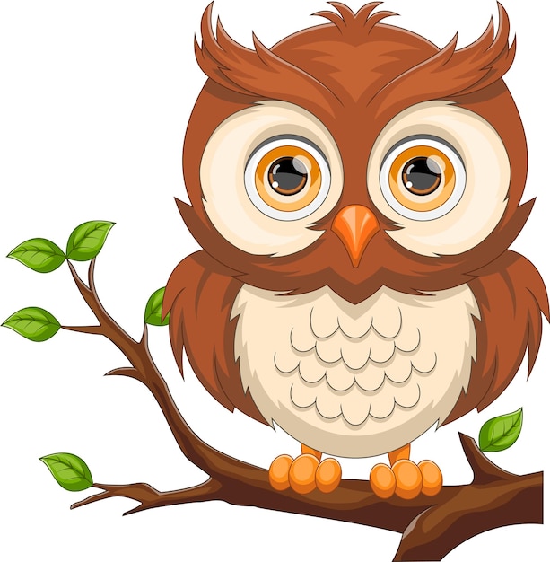 Cute owl cartoon on tree branch