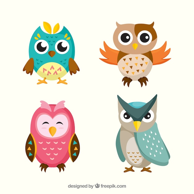 Cute owl collection