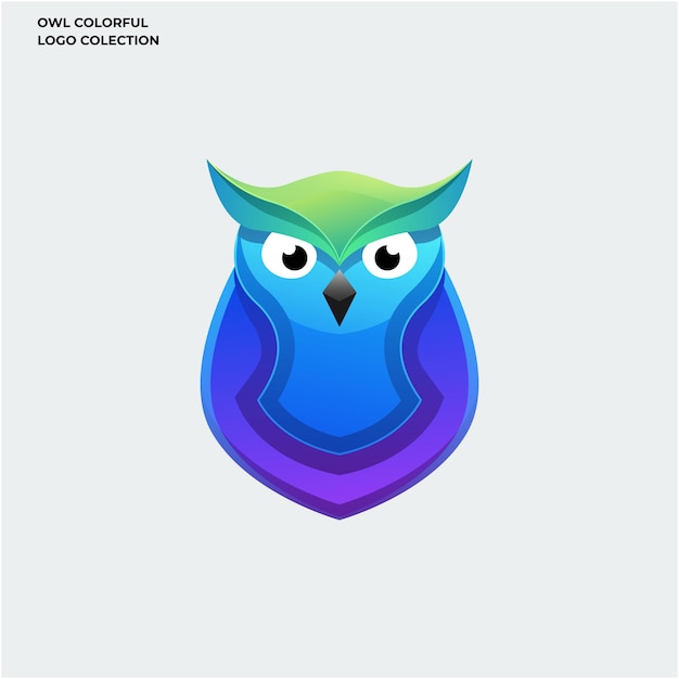 Cute owl colorful logo