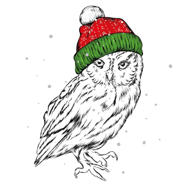 Cute owl wearing a Santa Claus hat. Christmas.