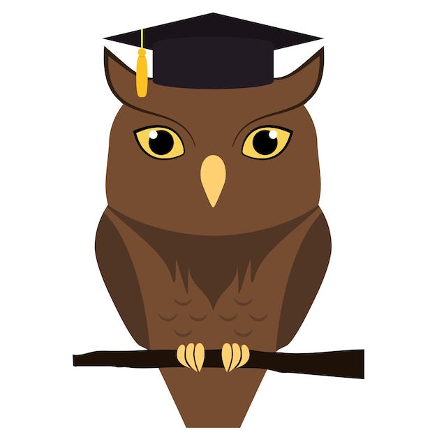 Cute owl with graduation hat on head isolated on white Vector flat illustration