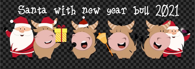 Cute ox, cow, bull with santa. 2021 transparent background with cow. ox horoscope sign. chinese year of ox 2021.