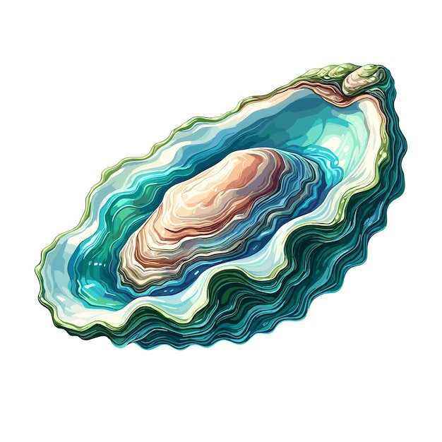 Cute oyster vector illustrazione di cartoni animati