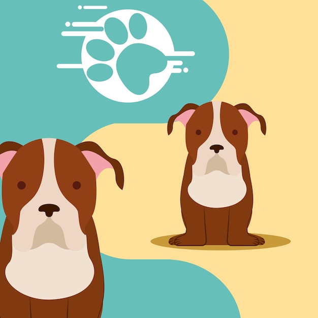 Vector cute pair dogs sitting and paw print