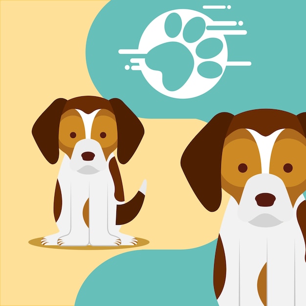 Vector cute pair dogs sitting and paw print