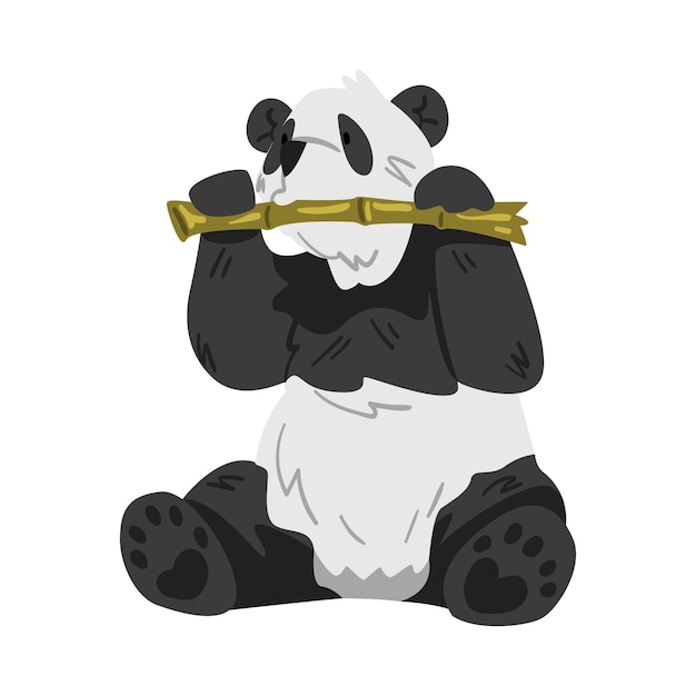 Cute panda bear sitting with stem of bamboo funny wild animal cartoon style vector illustration on