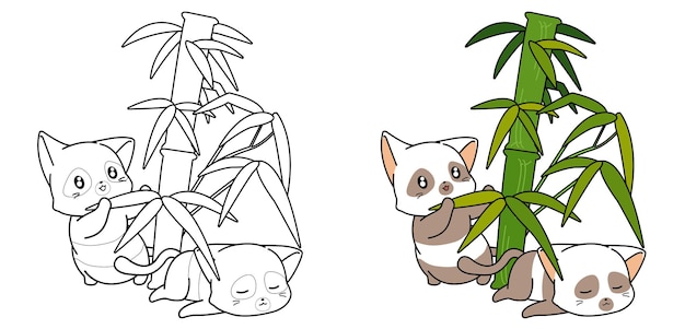 Pagina da colorare di cartoni animati di bambù e gatti carino panda