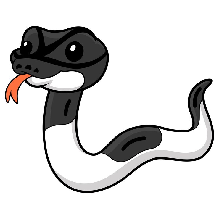 वेक्टर cute panda pied ball python cartoon