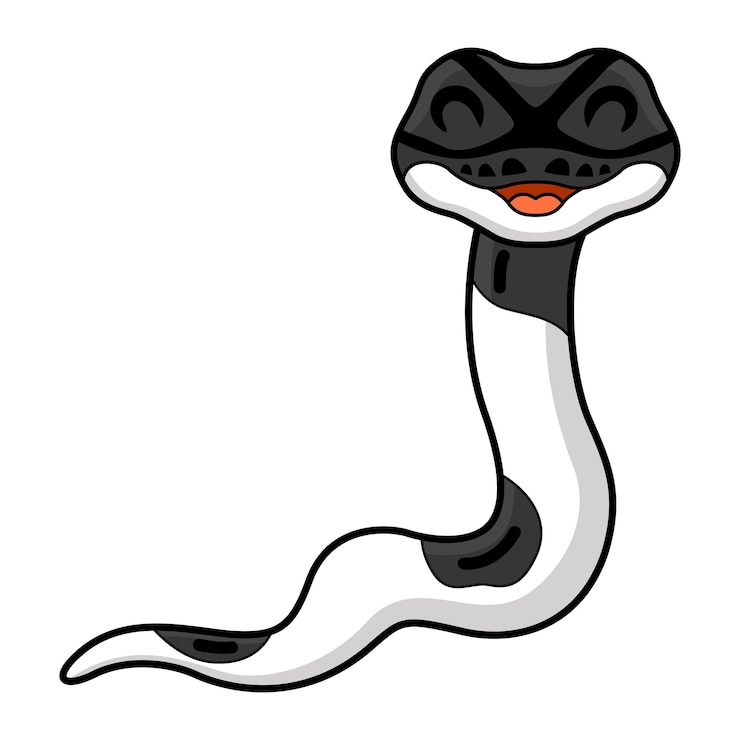 वेक्टर cute panda pied ball python cartoon