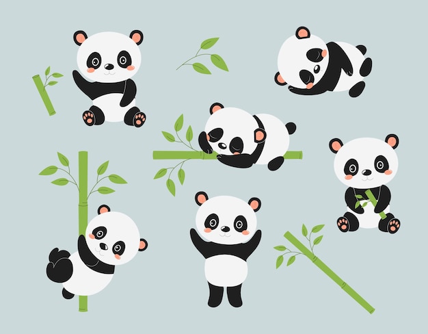 Cute panda set