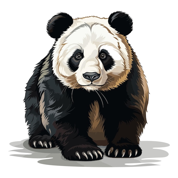 Cute panda vector cartoon art illustration design