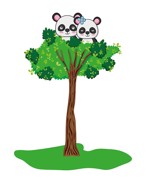 Cute panda wild animal and tree