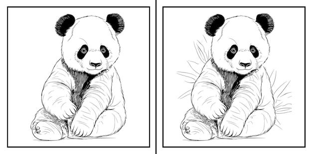 A Cute panda