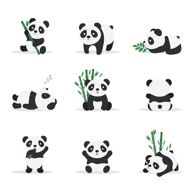 Cute pandas in different positions flat color illustrations set