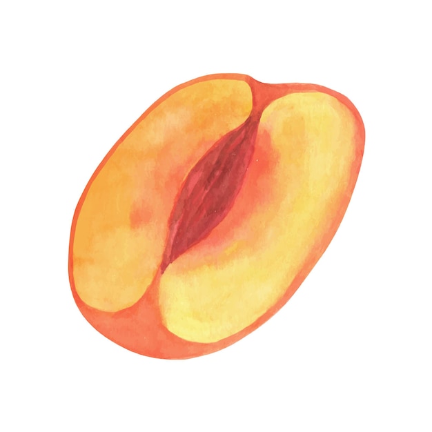 Милый персиковый акварельный клипарт, свежие летние фрукты. Иллюстрации ветки персика с зелеными листьями