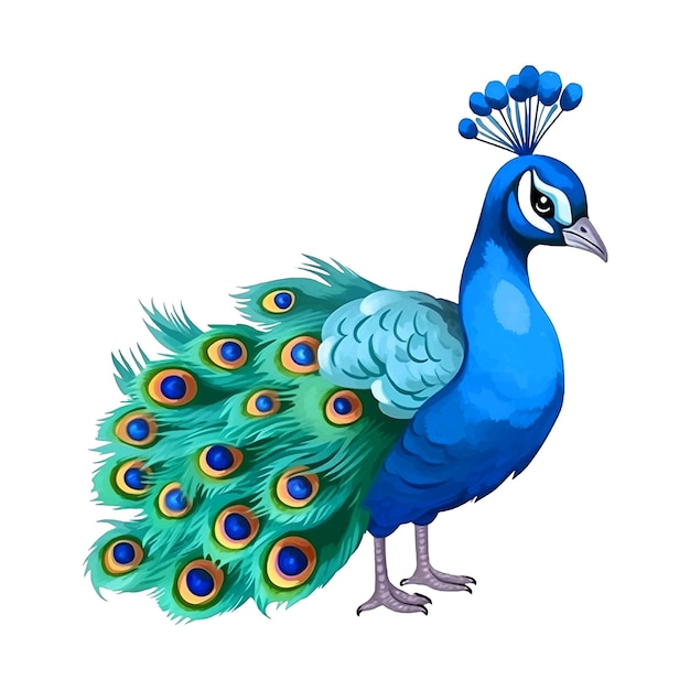 Vector cute peacock watercolor paint ilustration