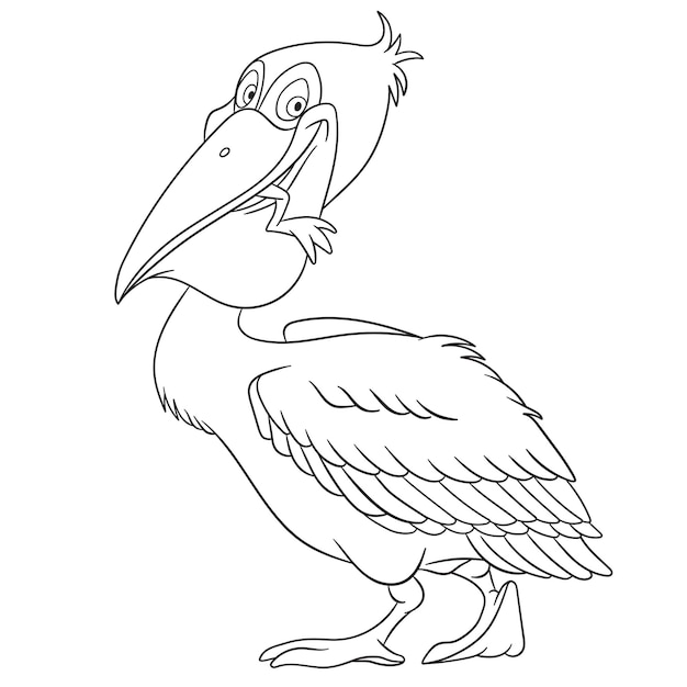 Cute pelican bird. Cartoon coloring book page for kids.