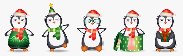 Cute penguin christmas characters collection with a hat, jacket, scarf and gift box