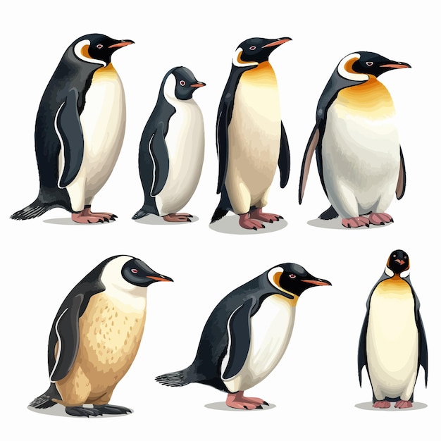 Cute penguin vector