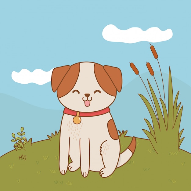 Vector cute pet animal cartoon