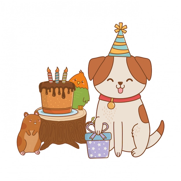 Vector cute pet animal cartoon