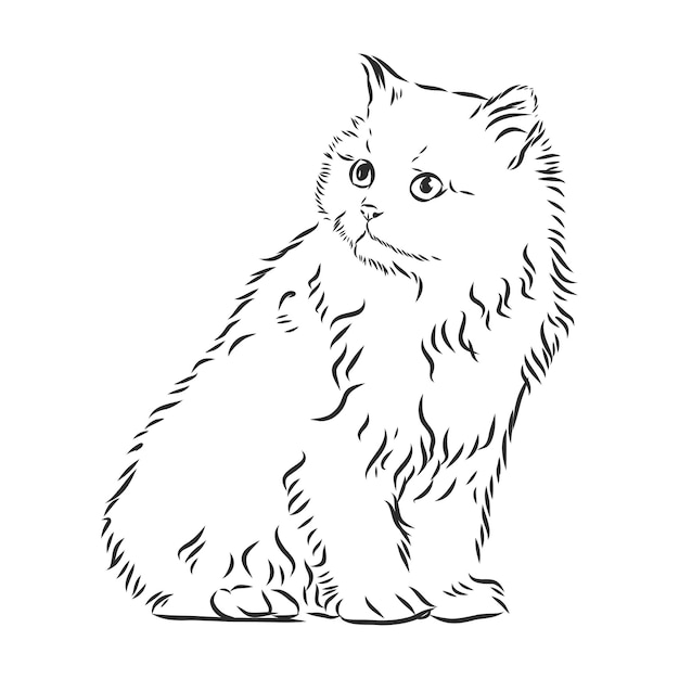 Cute pet cat realistic vector sketch illustration