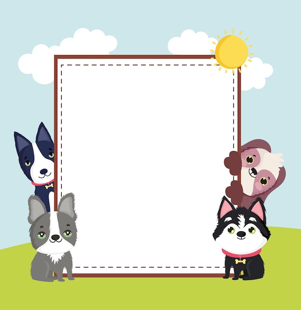 Cute pets banner