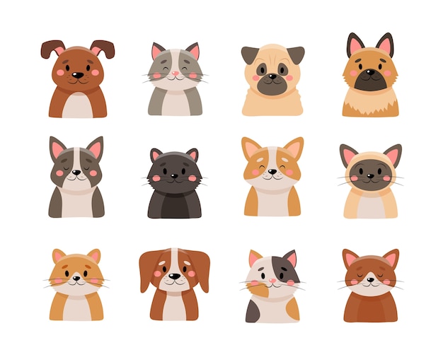 Cute pets collection,  on white background